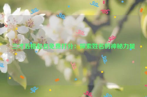 三才五格起名免费打分：探索姓名的神秘力量