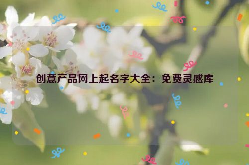创意产品网上起名字大全：免费灵感库
