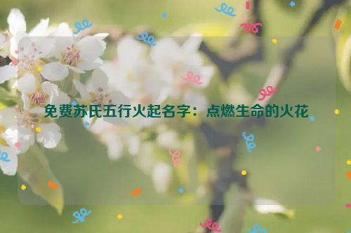 免费苏氏五行火起名字：点燃生命的火花