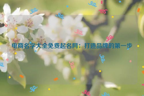 电商名字大全免费起名网：打造品牌的第一步