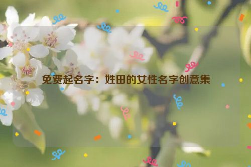 免费起名字：姓田的女性名字创意集