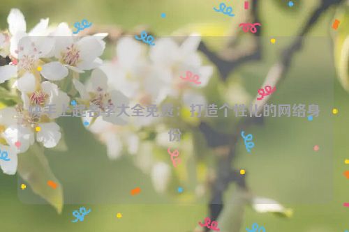 快手上起名字大全免费：打造个性化的网络身份