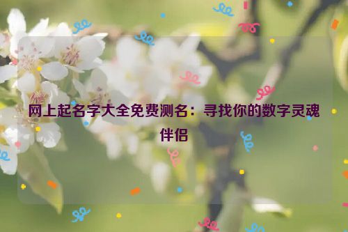 网上起名字大全免费测名：寻找你的数字灵魂伴侣