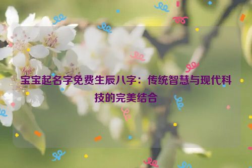 宝宝起名字免费生辰八字：传统智慧与现代科技的完美结合