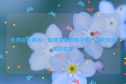 免费起名测名：如何为你的孩子或产品找到完美的名字