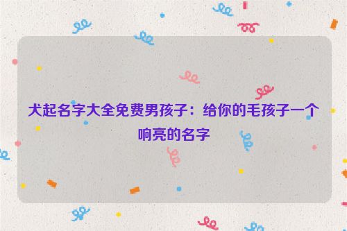 犬起名字大全免费男孩子：给你的毛孩子一个响亮的名字