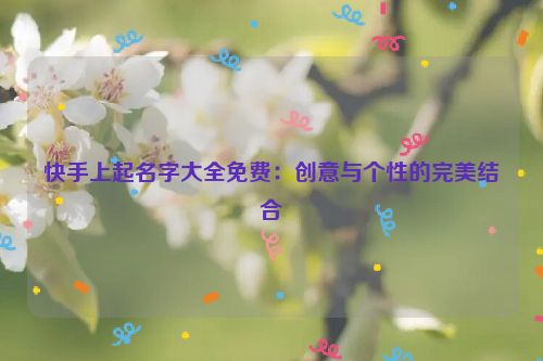 快手上起名字大全免费：创意与个性的完美结合