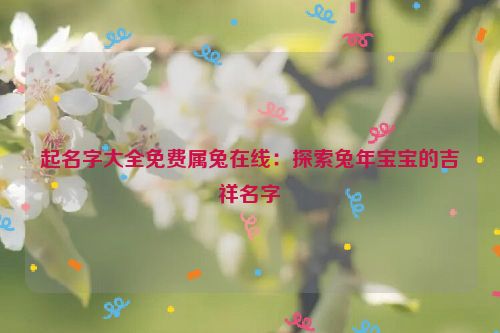 起名字大全免费属兔在线：探索兔年宝宝的吉祥名字