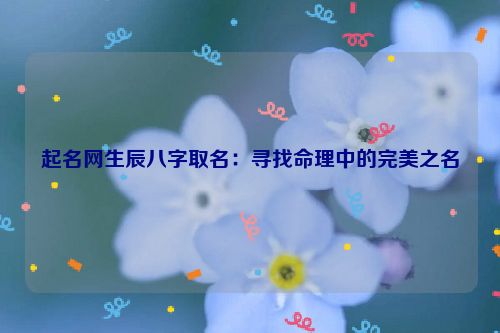 起名网生辰八字取名：寻找命理中的完美之名
