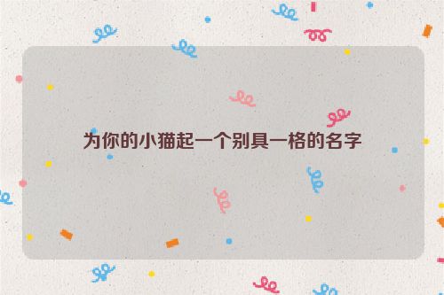 为你的小猫起一个别具一格的名字
