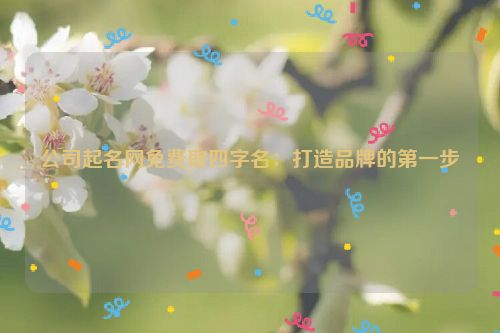 公司起名网免费取四字名：打造品牌的第一步