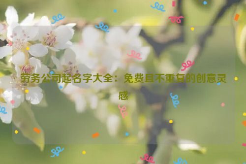 劳务公司起名字大全：免费且不重复的创意灵感