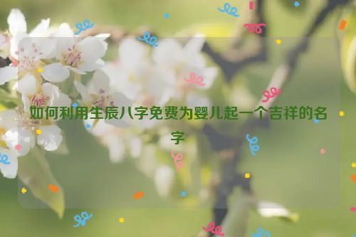 如何利用生辰八字免费为婴儿起一个吉祥的名字