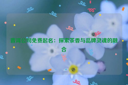 普洱公司免费起名：探索茶香与品牌灵魂的融合
