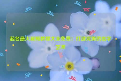 起名最火视频教程大全免费：打造完美的名字艺术
