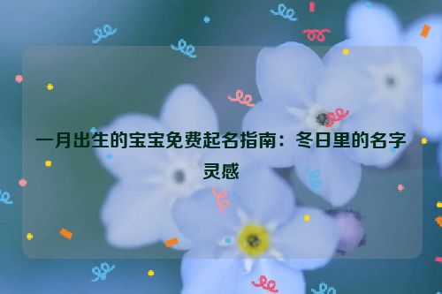 一月出生的宝宝免费起名指南：冬日里的名字灵感