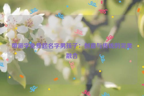 带派字免费起名字男孩子：创意与传统的完美融合