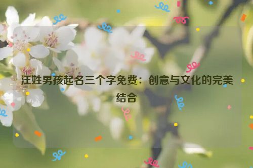 汪姓男孩起名三个字免费：创意与文化的完美结合