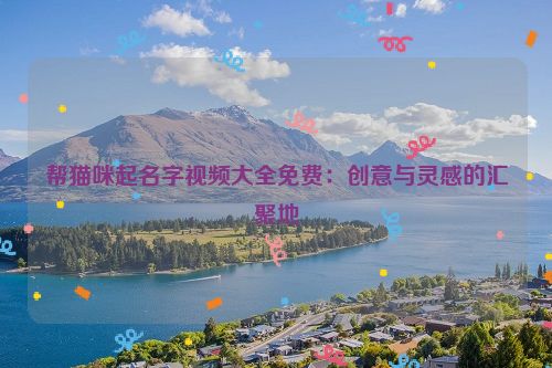 帮猫咪起名字视频大全免费：创意与灵感的汇聚地