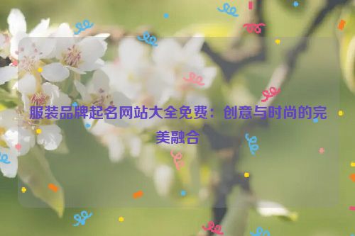 服装品牌起名网站大全免费：创意与时尚的完美融合
