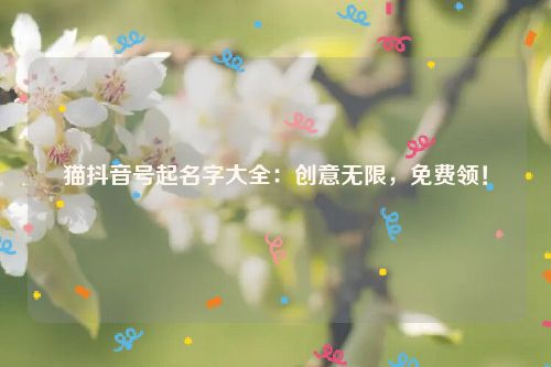 猫抖音号起名字大全：创意无限，免费领！