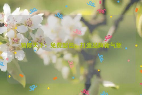 易修天下：免费起名，打造品牌新气象