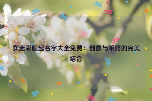 卖迷彩服起名字大全免费：创意与策略的完美结合