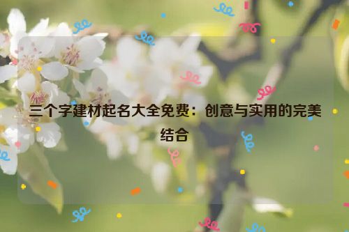 三个字建材起名大全免费：创意与实用的完美结合