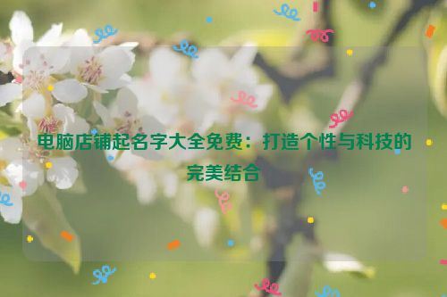 电脑店铺起名字大全免费：打造个性与科技的完美结合