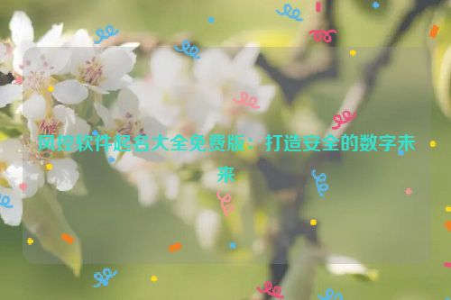 风控软件起名大全免费版：打造安全的数字未来