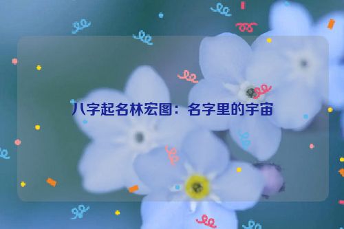 八字起名林宏图：名字里的宇宙