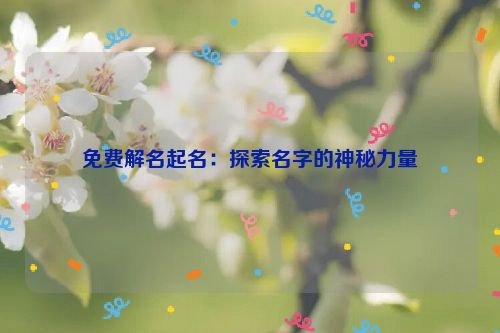 免费解名起名：探索名字的神秘力量