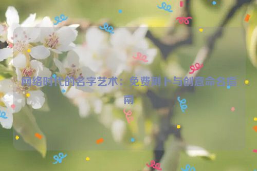 网络时代的名字艺术：免费测卜与创意命名指南