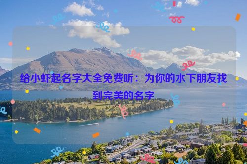 给小虾起名字大全免费听：为你的水下朋友找到完美的名字