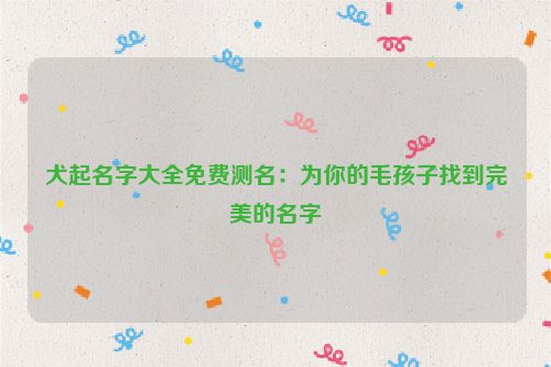 犬起名字大全免费测名：为你的毛孩子找到完美的名字