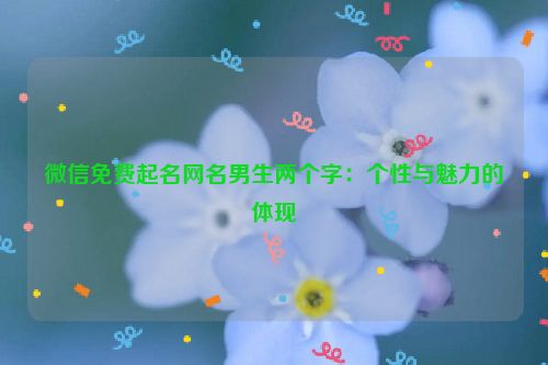 微信免费起名网名男生两个字：个性与魅力的体现