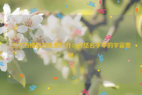 三才五格起名免费打分：寻觅名字中的宇宙奥秘