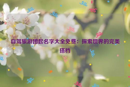 自驾旅游团起名字大全免费：探索世界的完美搭档