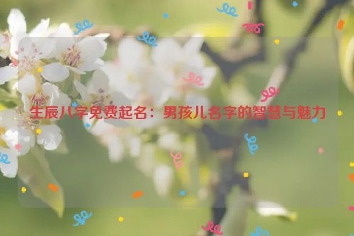 生辰八字免费起名：男孩儿名字的智慧与魅力