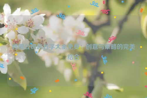 跨国公司起名字大全免费：创意与策略的完美结合