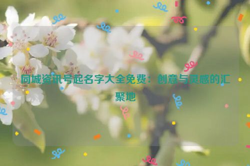 同城资讯号起名字大全免费：创意与灵感的汇聚地