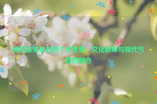 杨姓宝宝起名四个字免费：文化韵味与现代气息的融合
