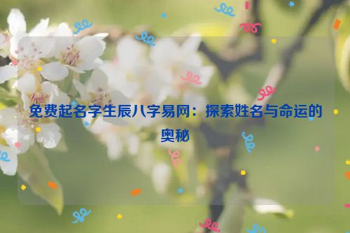 免费起名字生辰八字易网：探索姓名与命运的奥秘