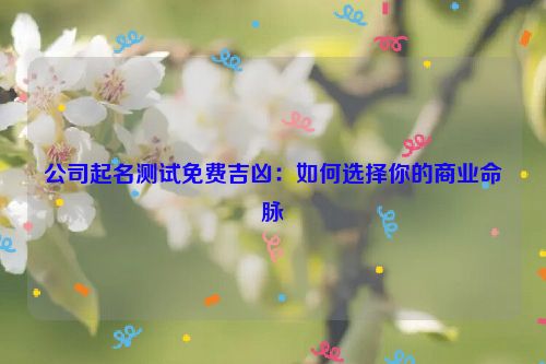 公司起名测试免费吉凶：如何选择你的商业命脉